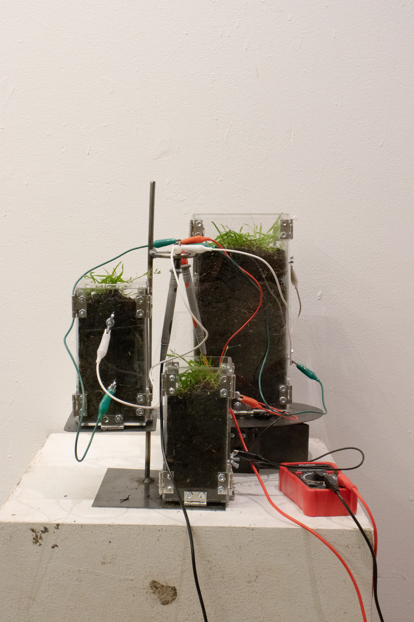 microbial fuel cell