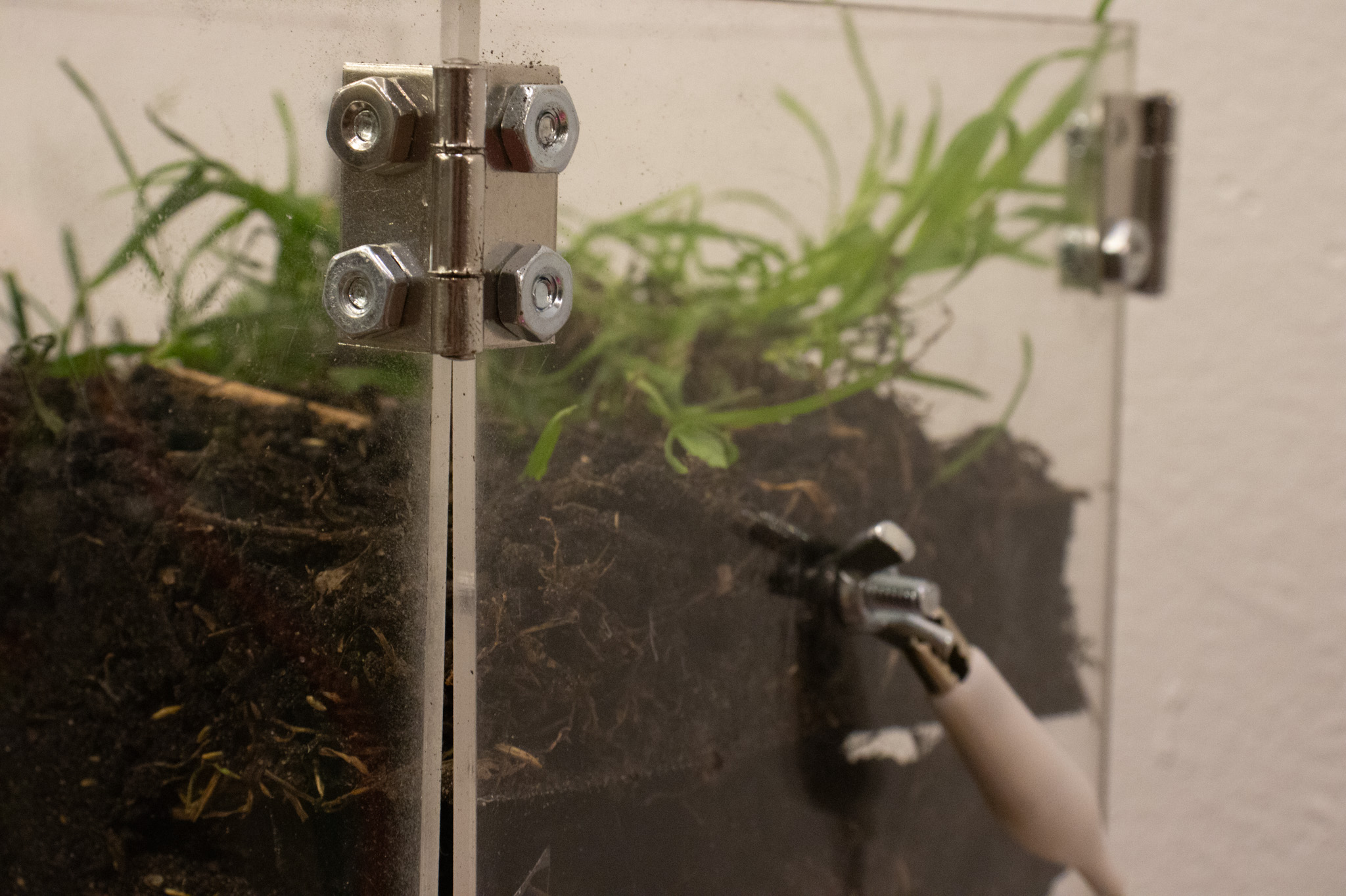 microbial fuel cell